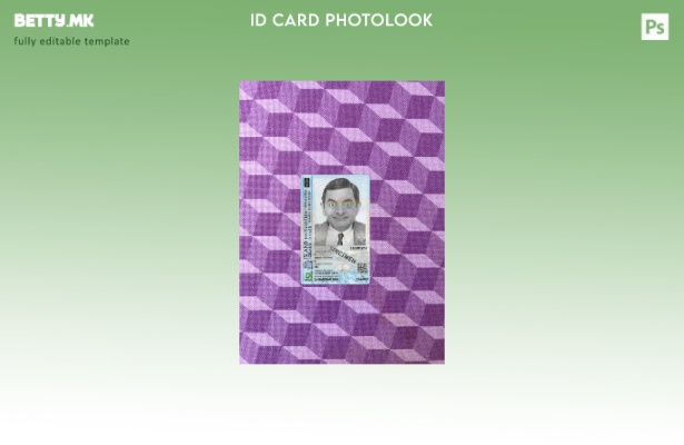 Модерен стил Исланд лична карта присутна photolook пред шаблон